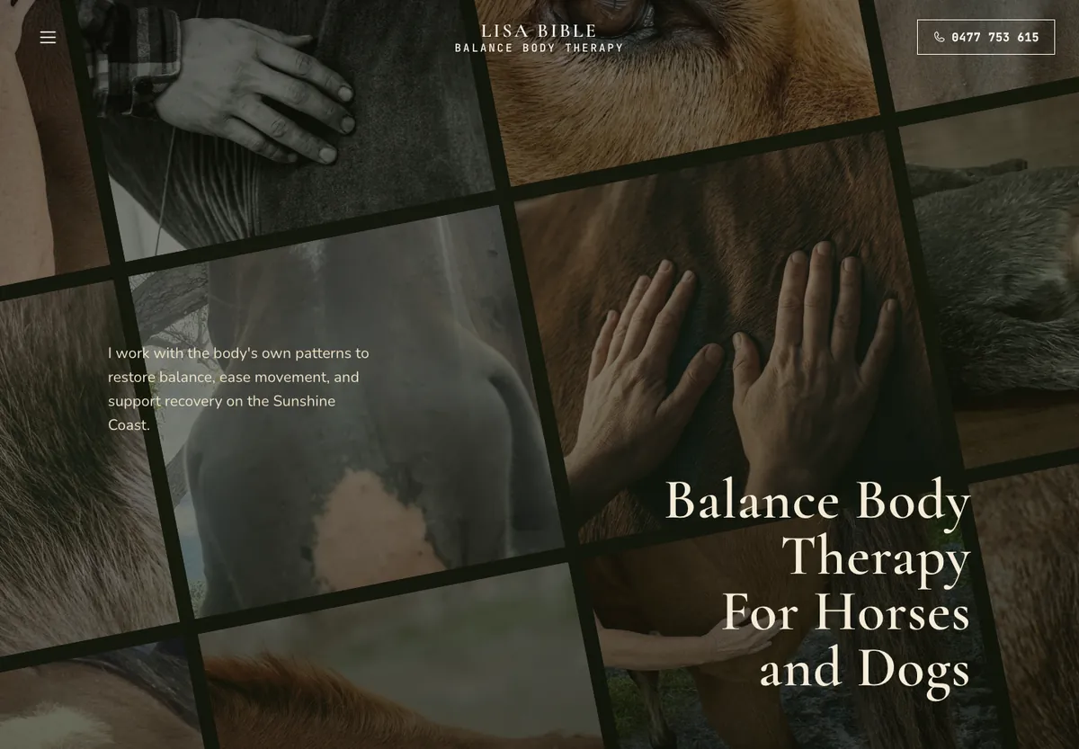 Lisa Bible website homepage